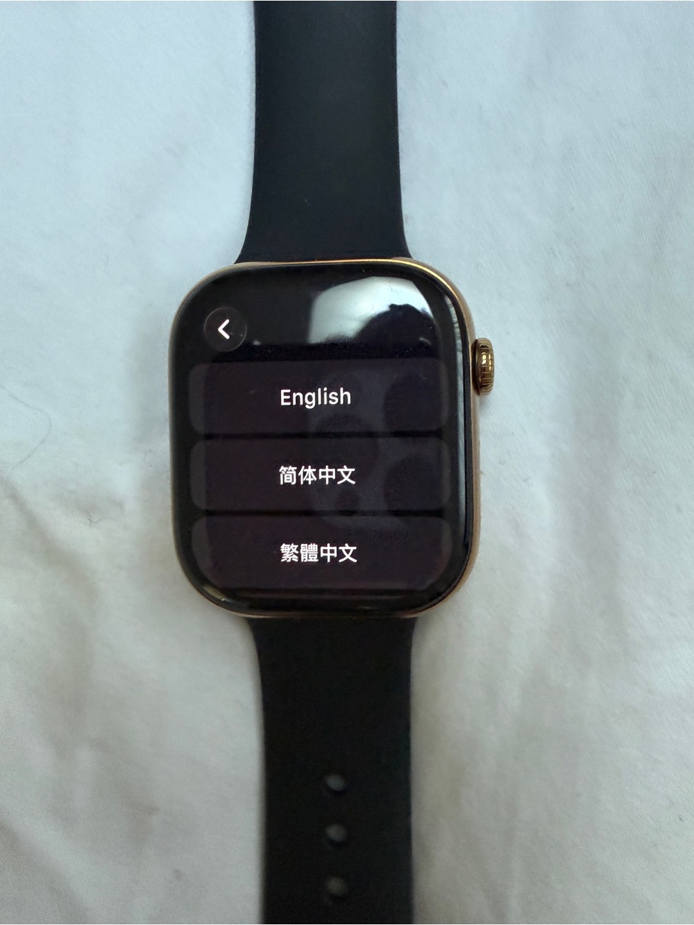 Apple Smartwatch in Black with Gold Case
